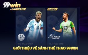 Giới Thiệu về sảnh thể thao 99Win